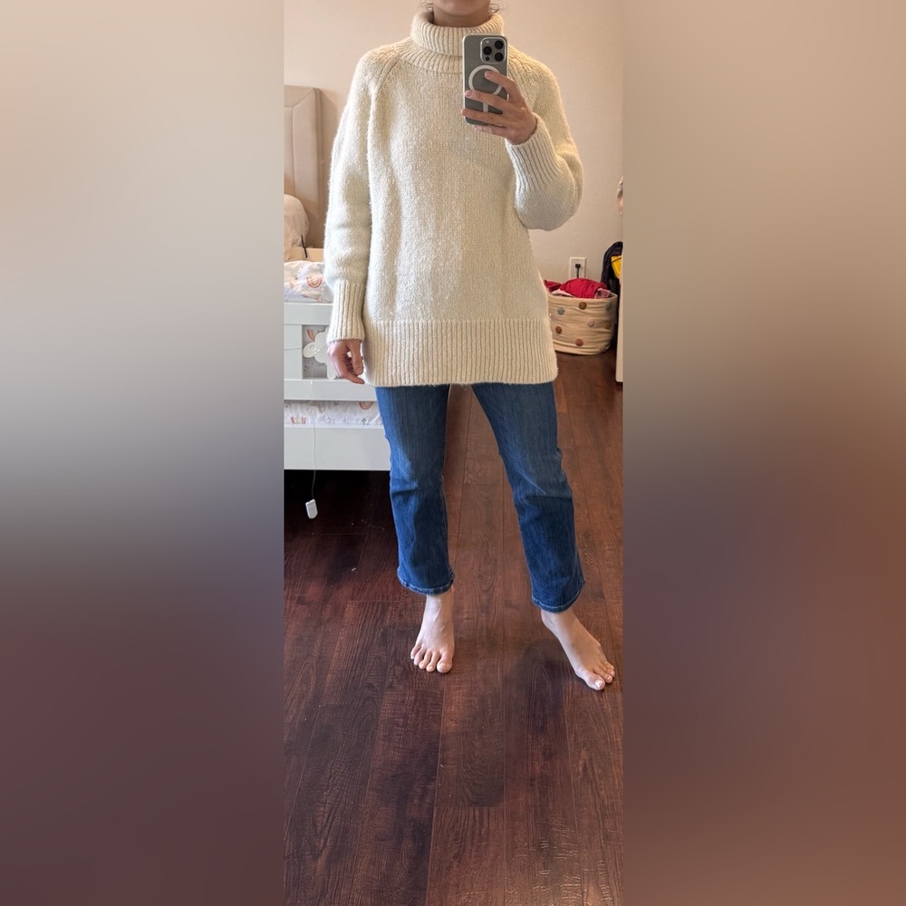 Aritzia turtleneck sweater